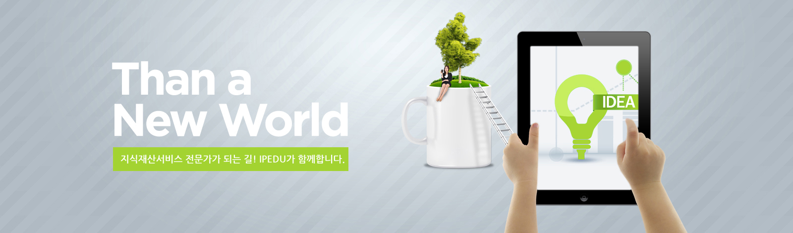 교육안내 보기